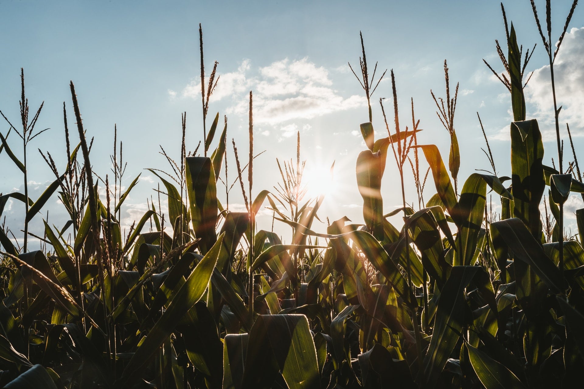 comment obtenir un financement pour un projet agricole